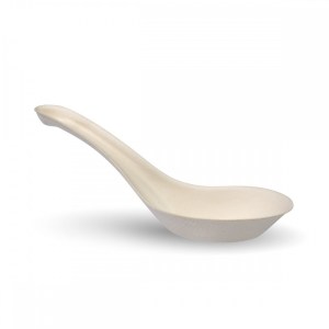 spoon3